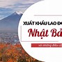 Cty Xuất Khẩu Lao Động Amc Việt Nam 2024 Tại Mỹ