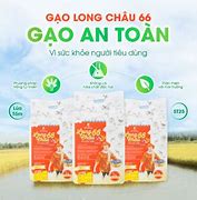 Gạo Lúa Tôm St25 Long Châu