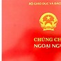 Hiệu Lực Của Bằng B2